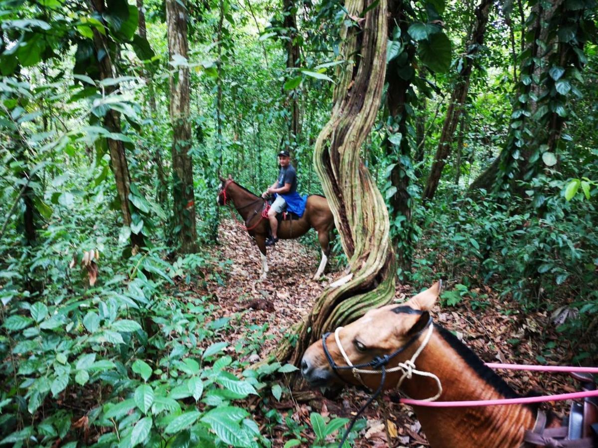 Hotel Suenoreal Rioceleste Rio Celeste Eksteriør bilde